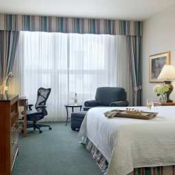Chambre Hilton Garden Inn New Orleans French QuarterCBD Fotos