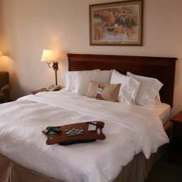 Camera Hampton Inn Suites BoiseNampa at the Idaho Center ID Fotos