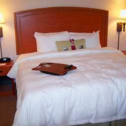 Room Hampton Inn by Hilton TorreonAirport Galerias Fotos