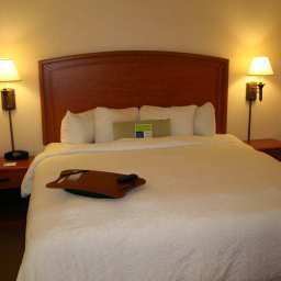 Room Hampton Inn by Hilton TorreonAirport Galerias Fotos