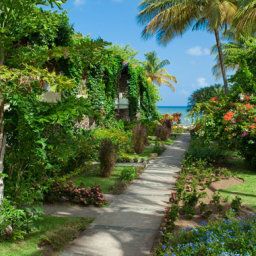 Vue extérieure Sandals Halcyon Beach St. Lucia Fotos