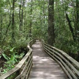 Интерьер Staybridge Suites NAPLES-GULF COAST Fotos