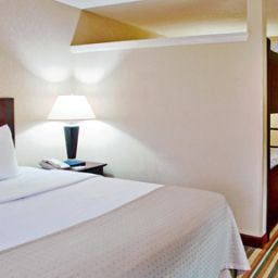 Suite Holiday Inn MAIN GATE EAST Fotos