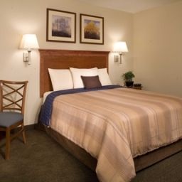 Zimmer Candlewood Suites ARLINGTON Fotos