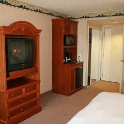 Pokój Hilton Garden Inn EdisonRaritan Center Fotos