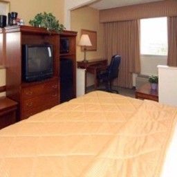 Zimmer Comfort Inn & Suites Airport North Fotos