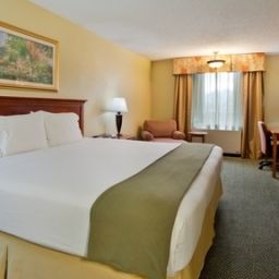 Camera Holiday Inn Express ATLANTA AIRPORT-COLLEGE PARK Fotos