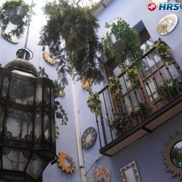 Интерьер Zurbarán Fotos