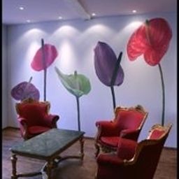 Hall Arnaud Bernard Fotos