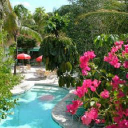 Piscine Turtle Cove Inn Fotos