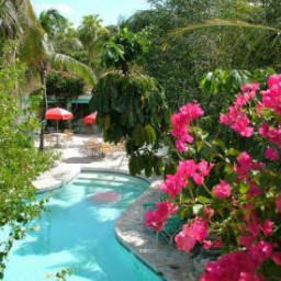 Piscine Turtle Cove Inn Fotos