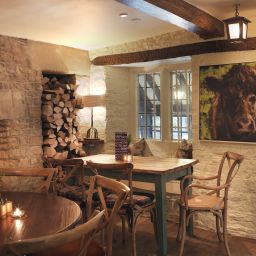 Bar Bear of Rodborough Fotos