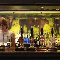 Bar Bear of Rodborough Fotos