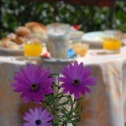Frühstücksraum Del Centro Fotos