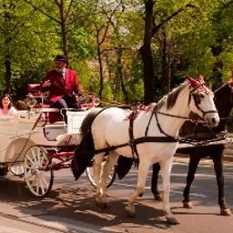 Panorama Pension Dr. Geissler Fotos