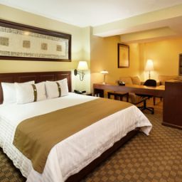 Suite Holiday Inn Hotel & Suites MEXICO ZONA ROSA Fotos