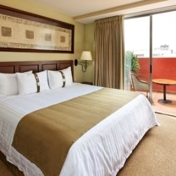 Suite Holiday Inn Hotel & Suites MEXICO ZONA ROSA Fotos