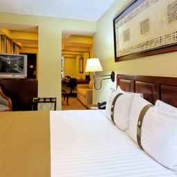 Suite Holiday Inn Hotel & Suites MEXICO ZONA ROSA Fotos