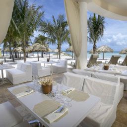 Restaurante Divi Aruba Phoenix Hotel Fotos