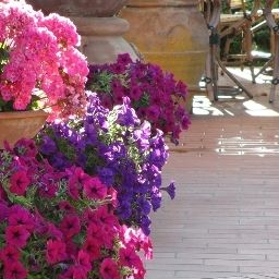 Garden Locanda Le Boscarecce Fotos