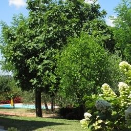 Garden Locanda Le Boscarecce Fotos