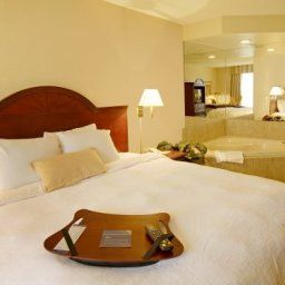 Suite Hampton Inn by Hilton TorontoMississauga West Fotos
