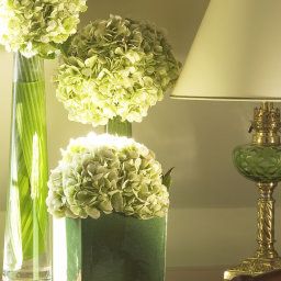  Hotel Le Relais Montmartre Fotos