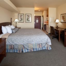 Camera Staybridge Suites LAREDO Fotos