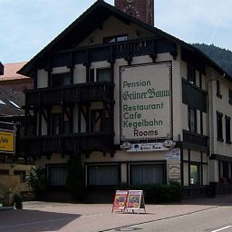 Grüner Baum Gasthaus Weisenbach 