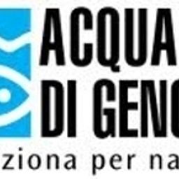 Tirreno Fotos