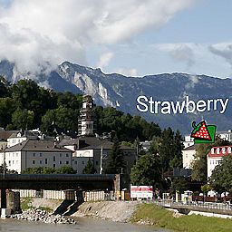  Strawberry Hostel Fotos