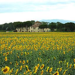 Garten Le Terre dei Cavalieri Country-house Fotos
