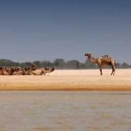  Kempinski Hotel NDjamena Chad Fotos