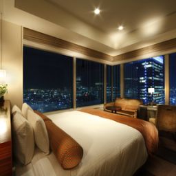 Habitación Metropolitan Marunouchi Hotel Fotos