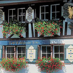 Exterior view Adler Landgasthof Das BIO-Restaurant Fotos