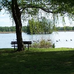 Ambiente Zum Goldenen Löwen Fotos