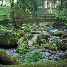  Waldschlößchen Schierke Fotos