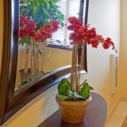 Hall Holiday Inn Express QUEENS - MASPETH Fotos