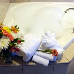 Suite Holiday Inn Express ALBANY - DOWNTOWN Fotos