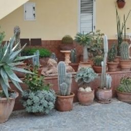 Widok zewnętrzny Damanse Fotos