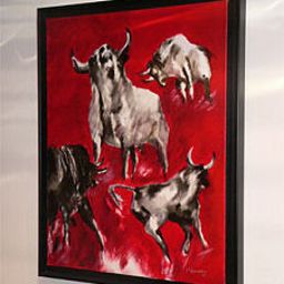  Du Taur Fotos
