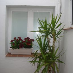 Vista all'interno Polo Fotos