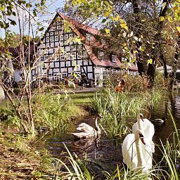Garten Springbach-Mühle Fotos