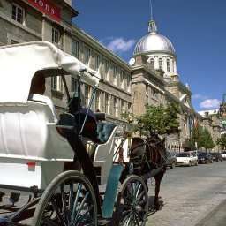  Embassy Suites by Hilton Montreal Fotos