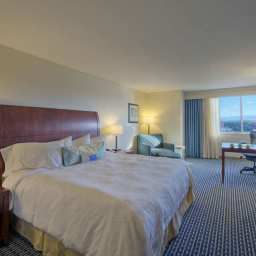 Camera Hilton Garden Inn Denver Downtown Fotos