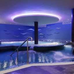 Piscina Hilton Dublin Kilmainham Fotos