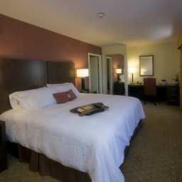 Suite Hampton Inn  Suites Las VegasRed RockSummerlin Fotos