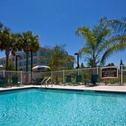 Pool Staybridge Suites TAMPA EAST- BRANDON Fotos