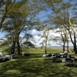  Ngorongoro Serena Safari Lodge Fotos