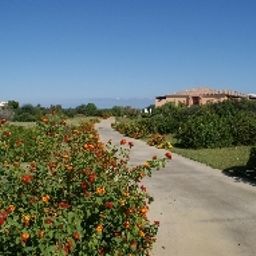 Jardin I Corbezzoli Fotos